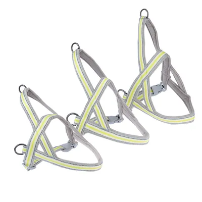 Drei graue Hundegeschirre mit gelben und weissen Streifen, verstellbar mit Klickverschluss und Metallringen.