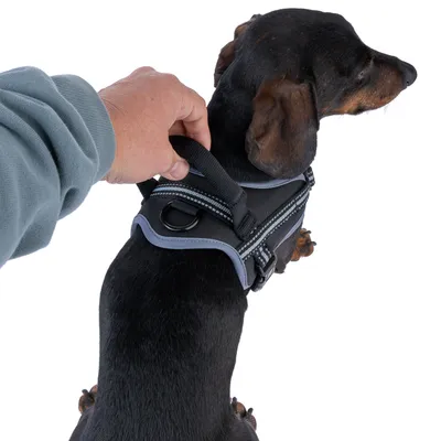 Hundegeschirr mit Griff, schwarz mit reflektierenden Streifen, wird von einer Hand gehalten. Geeignet für Kontrolle und Sicherheit beim Spaziergang.