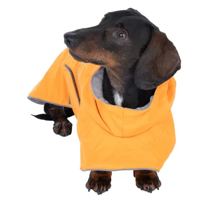 Chien à poil court portant un manteau imperméable orange avec doublure grise, capuche et fermeture latérale visible. Le matériau semble être du tissu synthétique.