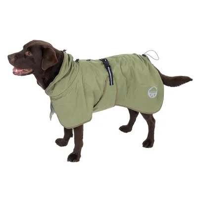 Chien portant un manteau imperméable vert clair avec capuche, fermeture à boucle noire et logo goutte de pluie blanc sur le côté. Matière textile visible.