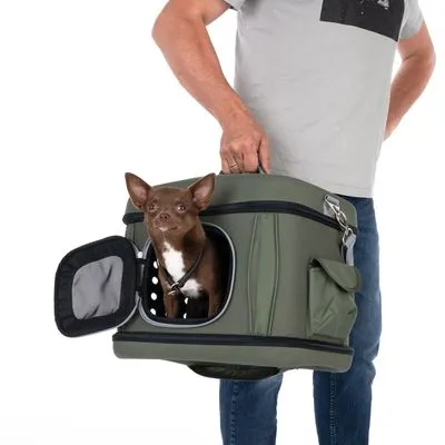 Transportadora verde de tecido com janela lateral aberta, transportada por uma pessoa; cão pequeno castanho no interior da transportadora.