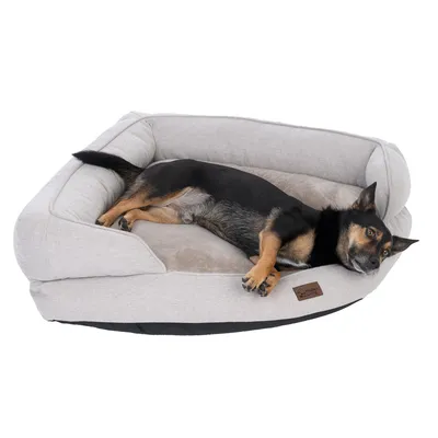 Dog lying on a grey dog bed with soft padding and brown brand label from Modern Living.