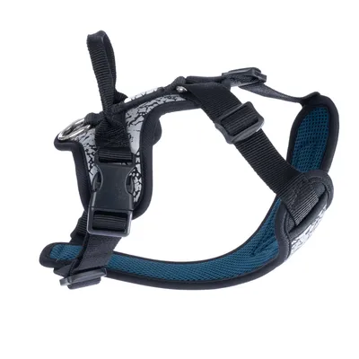 Schwarzes Hundegeschirr mit reflektierenden Mustern, verstellbaren Gurten und gepolstertem Innenfutter in Blau. Sichtbare Schnallen und Metallring für Leinenbefestigung.