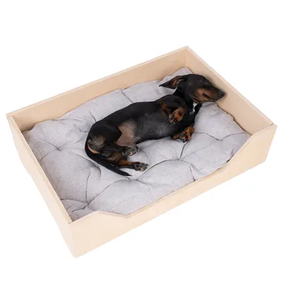 Holz-Hundebett mit grauem, gepolstertem Kissen. Ein kleiner Hund liegt entspannt darin.