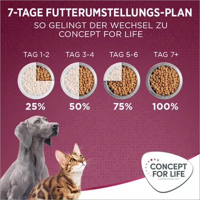 7-Tage Futterumstellungs-Plan: Tag 1-2 25%, Tag 3-4 50%, Tag 5-6 75%, Tag 7+ 100%. So gelingt der Wechsel zu Concept for Life. Logo unten rechts.