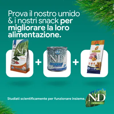 N&D Spirulina crocchette, N&D Ocean alimento umido e N&D Dental Treat snack. Sviluppato scientificamente per un'alimentazione ottimale. N&D Spirulina crocchette, N&D Ocean alimento umido e N&D Dental Treat snack. Sviluppato scientificamente per un'alimentazione ottimale.