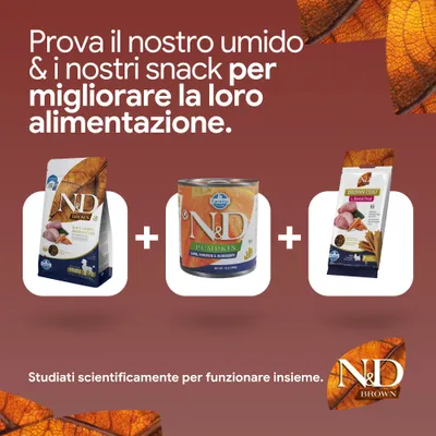 N&D Brown crocchette, N&D Pumpkin alimento umido e Brown Coat dental snack. Sviluppati scientificamente per una nutrizione ottimale. N&D Brown crocchette, N&D Pumpkin alimento umido e Brown Coat dental snack. Sviluppati scientificamente per una nutrizione ottimale.