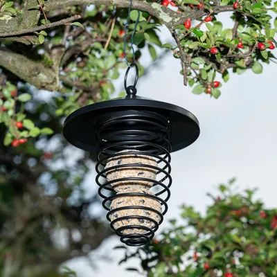 Black metal spiral-shaped bird feeder filled with bird food, hanging from a tree branch.