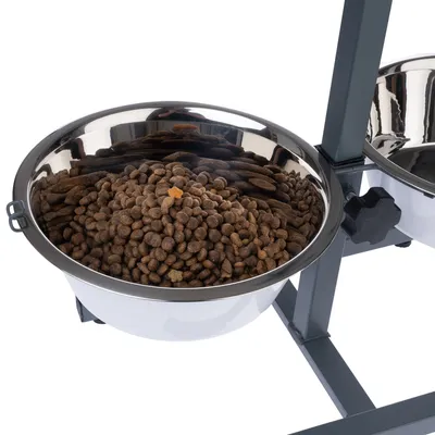 Einstellbarer Futterständer mit zwei Edelstahl-Näpfen, einer gefüllt mit Trockenfutter. Ideal für präzise Höhenanpassung durch Drehknopf.