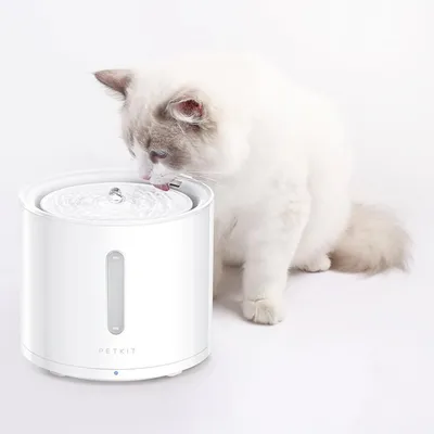 PETKIT drinking fountain with water flow, cat drinking from the fountain. Visible max and min markings for water level.