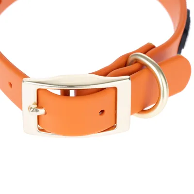 Orangefarbenes Hundehalsband mit goldfarbener Schnalle und Metallring, verstellbar durch Löcher im Band.