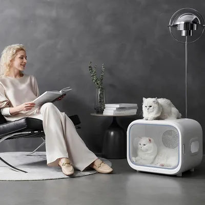 White cats in and on a modern white pet house with ventilation, next to a seated person in a stylish room.