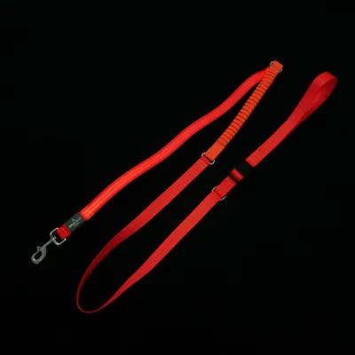 Laisse de jogging LED USB orange de Nomad Tales Spirit pour chien