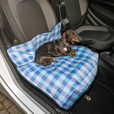 Hund ligger på blårutigt bilsätesskydd, lämpligt för att skydda bilsäten mot smuts och djurhår.