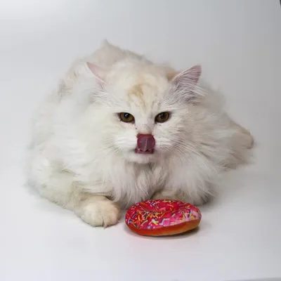 ""
