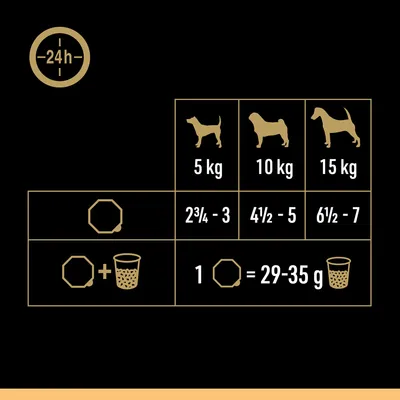 Tabella consigli alimentari per cani: 5 kg 2¾–3 misurini, 10 kg 4½–5, 15 kg 6½–7; 1 misurino = 29–35 g. Simbolo 24h indica razioni consigliate giornaliero.