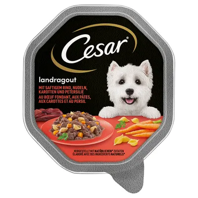 Cesar Landragout mit saftigem Rind, Nudeln, Karotten und Petersilie. Hergestellt mit natürlichen Zutaten.