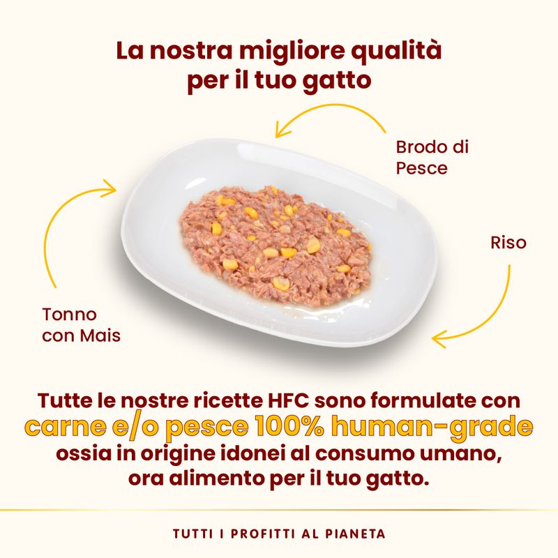 Almo Nature HFC Natural 12 x 70 g umido gatto