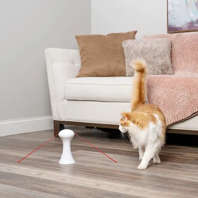 White laser toy with two red light beams on wooden floor, next to a cat in a living room with sofa and cushions.