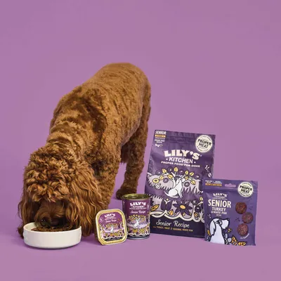 Hond eet uit bak naast Lily's Kitchen Senior Recipe hondenvoer: zak, blik, kuipje en snackverpakking met merknaam en 'Proper Meat' zichtbaar.