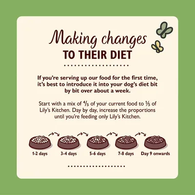 Feeding guide showing gradual change to Lily’s Kitchen food over a week: start with 4/5 current food, increase Lily’s Kitchen daily until only Lily’s Kitchen is fed from day 9 onwards.