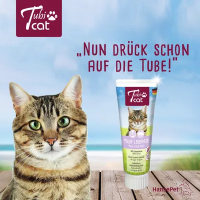 Tubi Cat Milch-Leberpaté, tube avec photo de chat, texte allemand : Nun drück schon auf die Tube!, HansePet. Ingrédients visibles : lait, foie, sans sucre ni céréales.