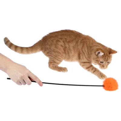 Varita de juego con bola de peluche naranja, sostenida a mano mientras un gato juega con ella.