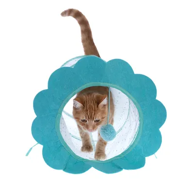 Cat tunnel in blue with flower shape and hanging play ball, cat playing inside.