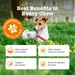 Zesty Paws Aller-Immune Chews lazac