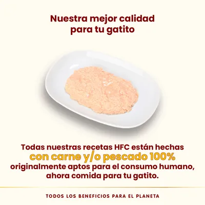 Pack Ahorro Almo Nature HFC 24 x 70 g