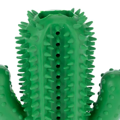 Grønt tyggelegetøj i kaktusform med knopper og huller, egnet til tandpleje eller leg.