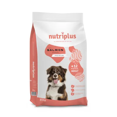 Nutriplus Premium kutyatáp lazaccal felnőtt kutyáknak 12 hónapos kortól, 3 kg csomag. Támogatja az emésztést és a táplálkozást.