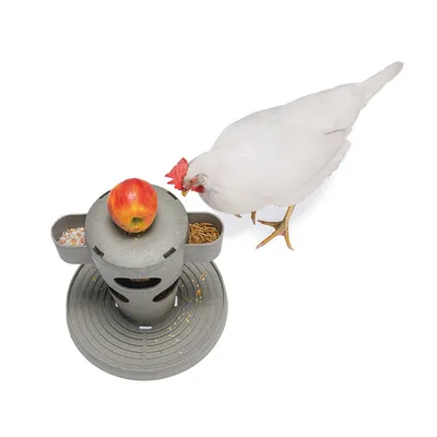 Pollo junto a dispensador de comida gris con manzana encima, granos y gusanos de la harina en recipientes separados. Diseño redondo con varias aberturas para acceso al alimento.