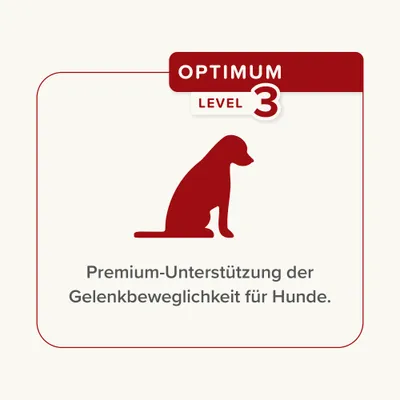 Optimum Level 3. Premium-Unterstützung der Gelenkbeweglichkeit für Hunde.