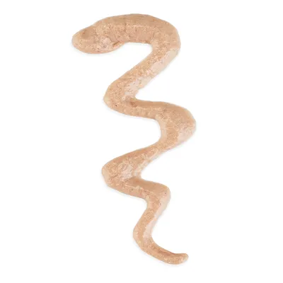 Striscia di crema alimentare beige, consistenza morbida, su sfondo bianco. Nessun marchio o testo visibile.