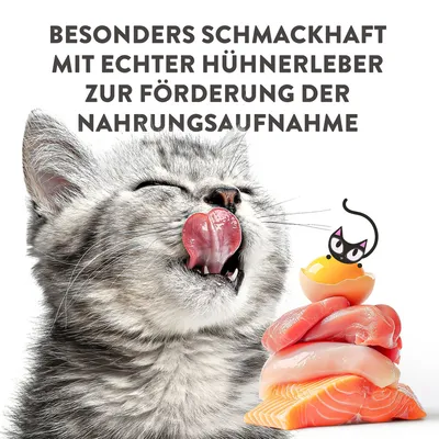 Besonders schmackhaft mit echter Hühnerleber zur Förderung der Nahrungsaufnahme. Bild zeigt eine Katze und frische Fleischstücke.
