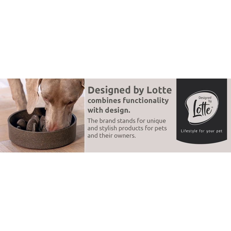 Designed by Lotte habzsolásgátló kutyatál