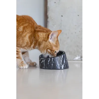 Designed by Lotte Vita melamin macskatál, fekete