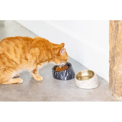 Designed by Lotte Vita melamin macskatál, fekete