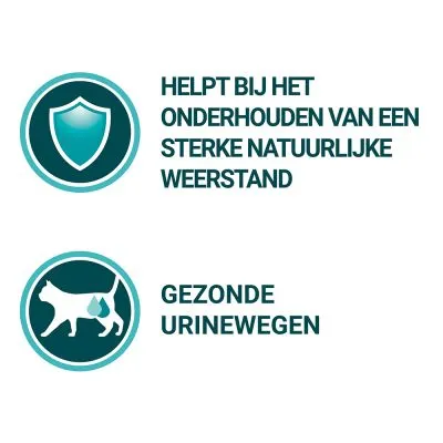 Helpt bij het onderhouden van een sterke natuurlijke weerstand. Gezonde urinewegen.