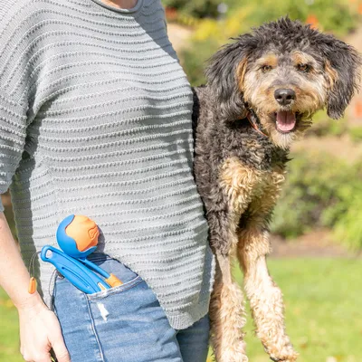 Person hält einen Hund und trägt einen blauen Ballwerfer mit orangefarbenem Ball in der Hosentasche.