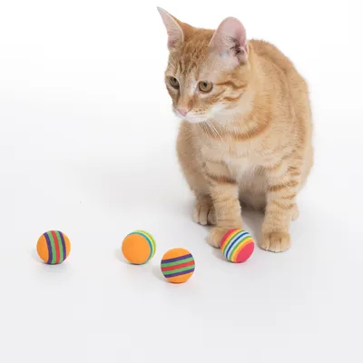Gato naranja junto a cuatro pelotas de juego coloridas con diseño de rayas. El producto muestra juguete para gatos.