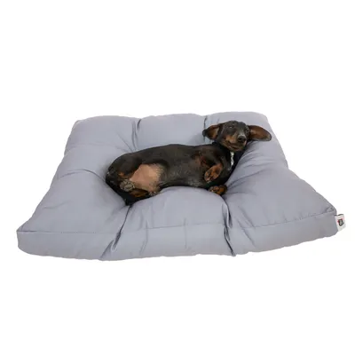 Coussin pour chien gris clair avec un teckel allongé dessus, étiquette visible sur le coin inférieur droit du coussin.