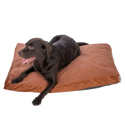 Coussin rectangulaire marron en tissu, un grand chien noir allongé dessus. Étiquette visible sur le coin du coussin.