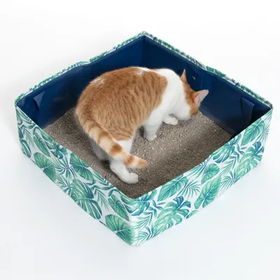 Kuweta dla kota z zielonym wzorem liści i niebieskim wnętrzem, wypełniona żwirkiem. Kot korzysta z kuwety.