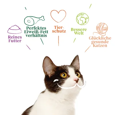 Reines Futter, perfektes Eiweiss-Fett-Verhältnis, Tierschutz, bessere Welt, glückliche gesunde Katzen. Illustration mit Katze darunter.