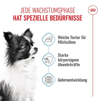 Royal Canin X-Small Puppy in Soße