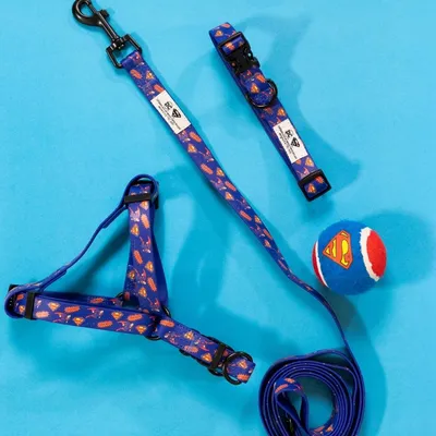 Ensemble pour chien Superman DC : harnais, laisse, collier et balle bleue avec logo Superman. Motifs Superman visibles sur les accessoires. Boucles en plastique noir.