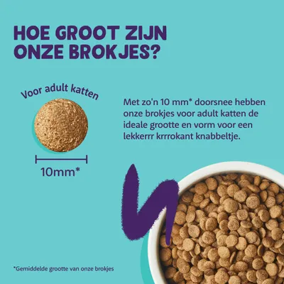 Maattabel kattenbrokjes: voor adult katten, gemiddelde doorsnee 10 mm. Tekst: ideale grootte en vorm voor een lekker krokant knabbeltje. Afbeelding van brokje en volle voerbak.