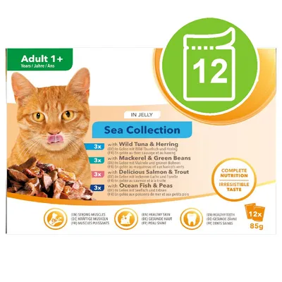 Sea Collection kattemad i gelé, Adult 1+, 12 x 85 g: 3x Wild Tuna & Herring, 3x Mackerel & Green Beans, 3x Salmon & Trout, 3x Ocean Fish & Peas. Complete nutrition, irresistible taste.